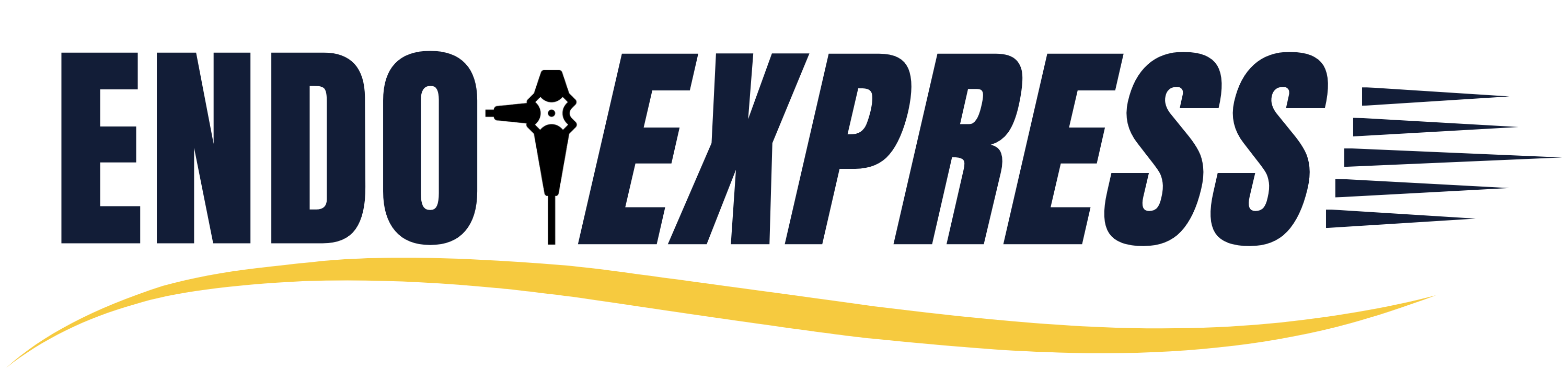 EndoExpress